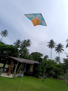 Little sea turtle is flying in the wind! 🐢 @ Armani Beach House Kuala Terengganu